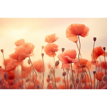 Red Poppies Painting Art